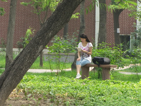天津大學(xué)女生