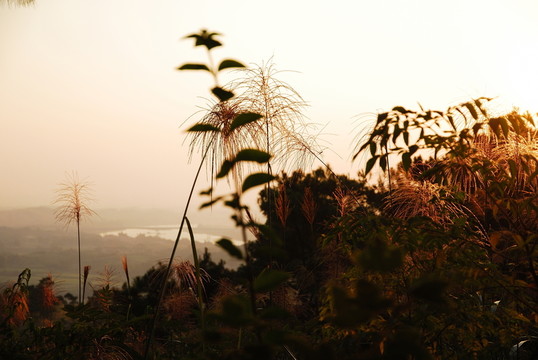 山居