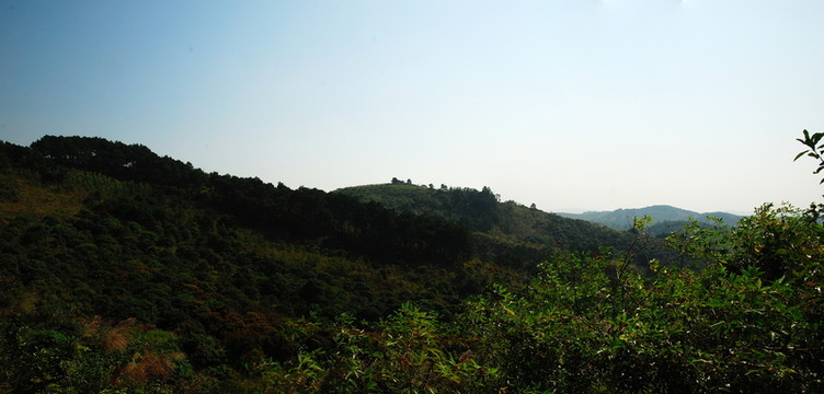 山居