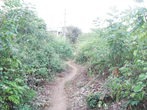 山間小路