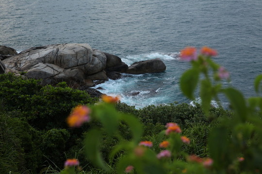 金龜探海
