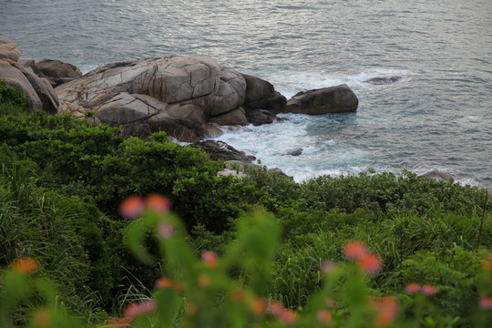 金龜探海