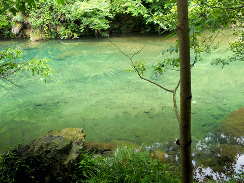 山澗溪流 一潭綠水