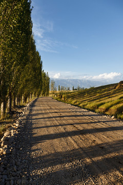 小路