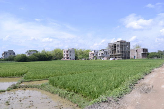 農(nóng)村建房