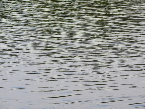 水紋