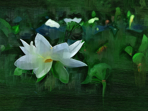 裝飾畫 荷花