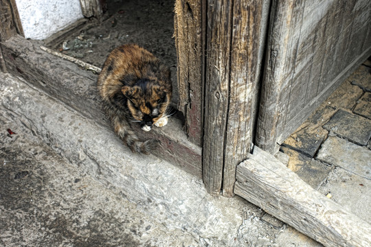 西塘古鎮(zhèn)民居