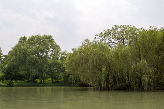 杭州西溪濕地公園