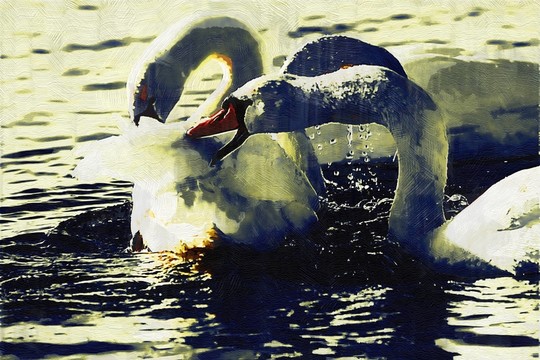 裝飾畫  油畫天鵝