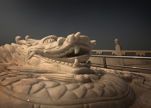 仰拍的漢白玉龍