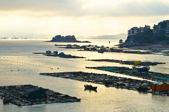 海產(chǎn)養(yǎng)殖