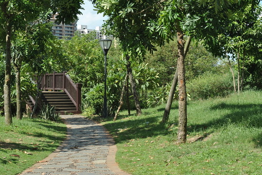 海南?？诎咨抽T公園幽徑
