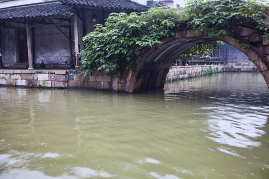 烏鎮(zhèn)