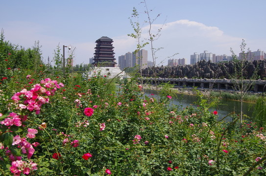 西安漢城湖公園
