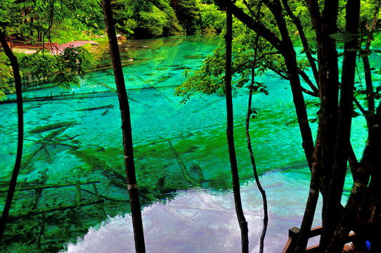 貴州風(fēng)景