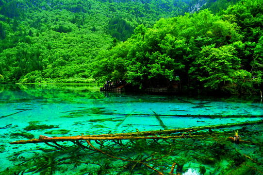 貴州風(fēng)景