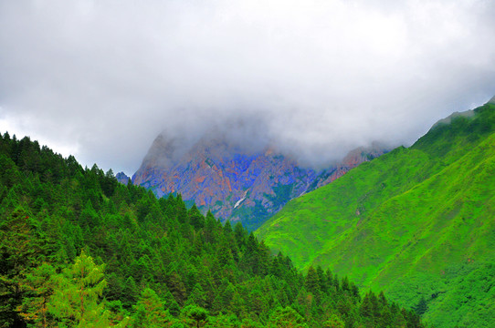 貴州風(fēng)景