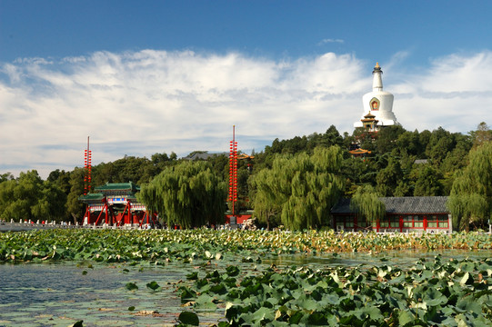 北海公園白塔
