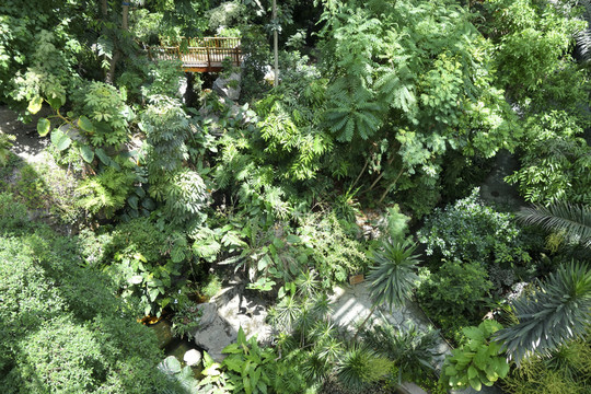 上海植物園