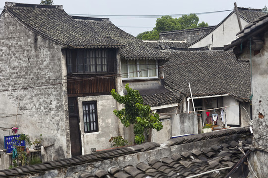 楓涇古鎮(zhèn)