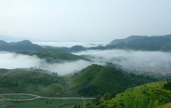 山