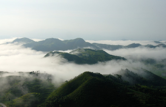 山