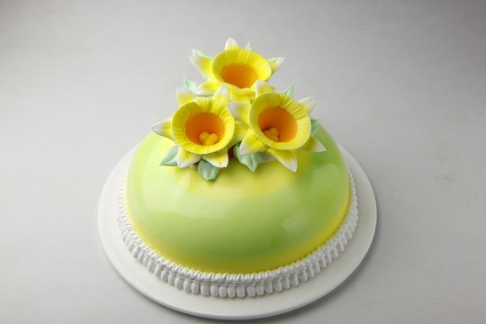 生日蛋糕喇叭水仙