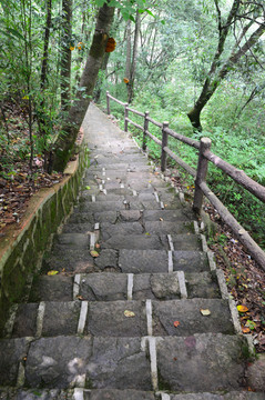 路
