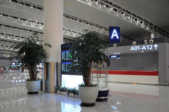機(jī)場(chǎng)登機(jī)牌辦理 值機(jī)柜臺(tái)