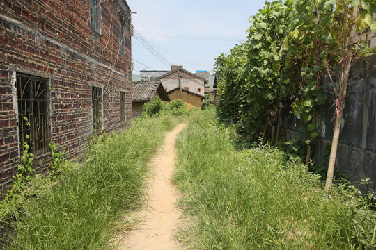 農村小路