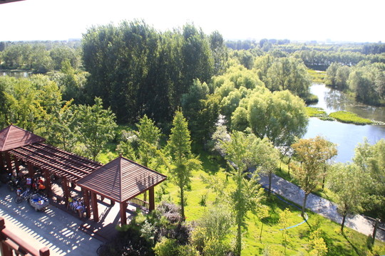 濕地公園