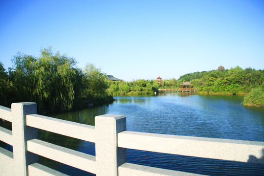 濕地公園