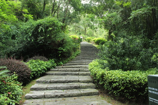 公園景觀