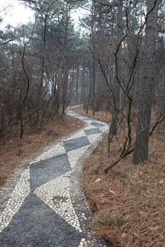 卵石小路