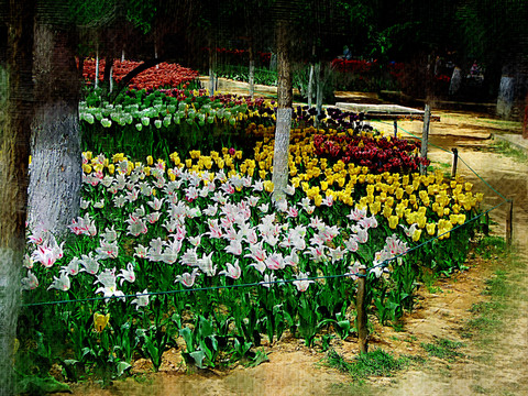 裝飾畫(huà)