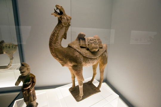古代陶瓷 駱駝