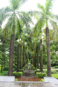 木雕藝術(shù)