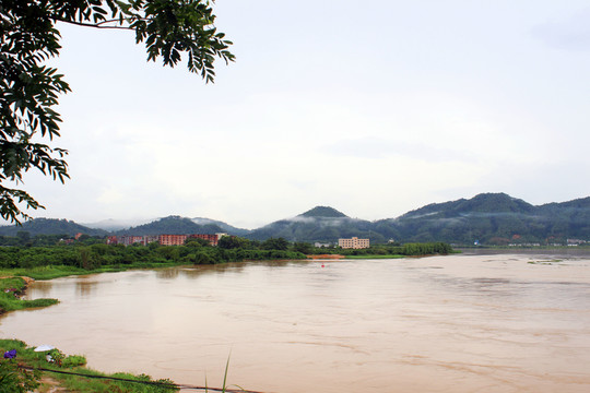 公園景觀