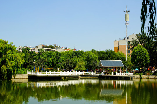 公園一景