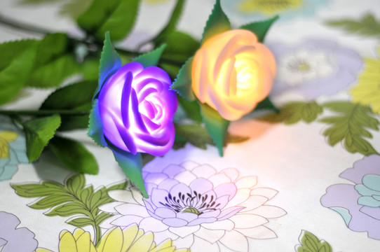 玫瑰花
