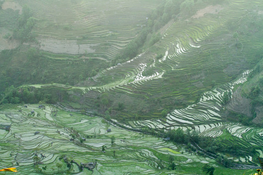云南元陽梯田 老虎嘴景區(qū)