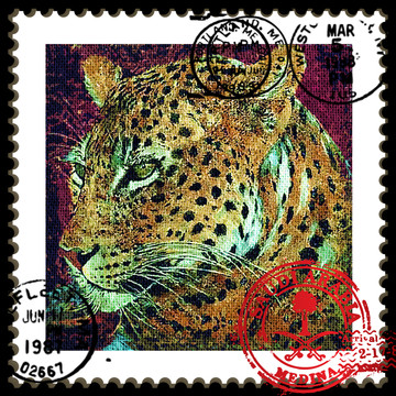 獵豹