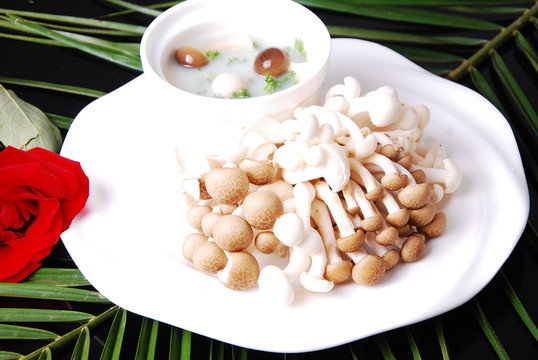極品菌湯