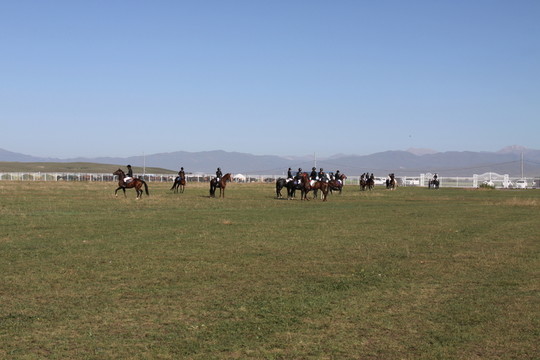 馬