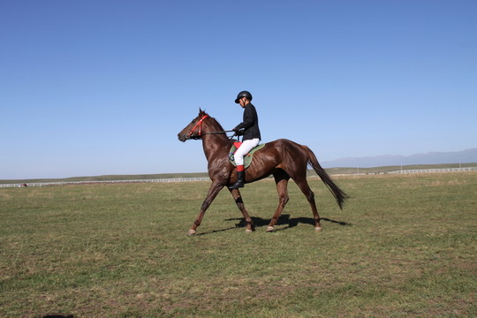 馬