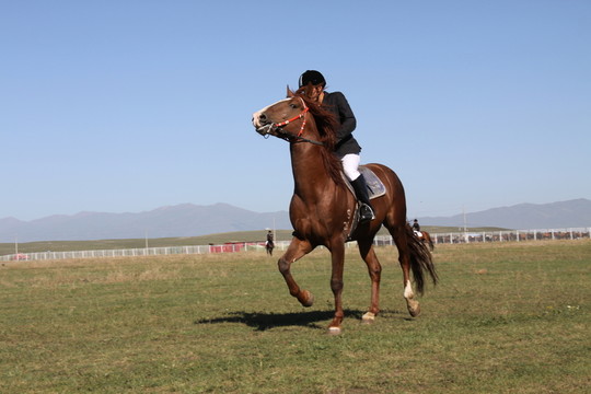 馬