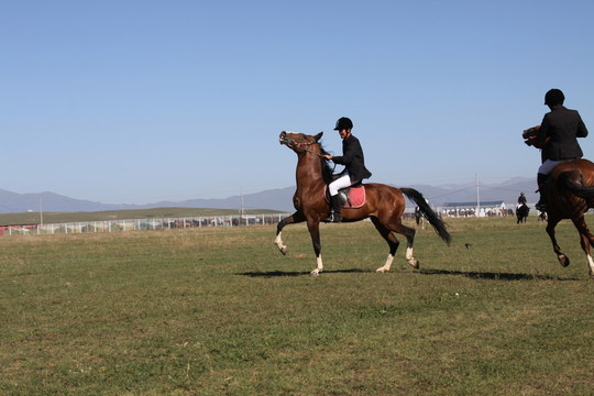 馬