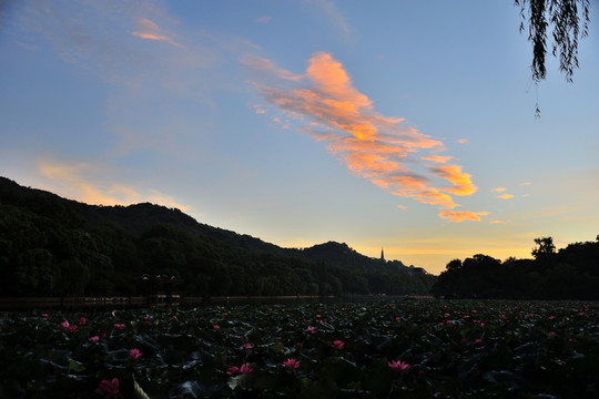 杭州 西湖 西泠橋 晨曦 保俶