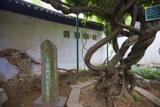 太平天國忠王府 庭院 歷史建筑